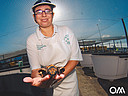 Project voor hervestiging van zeeschildpadden in de haven van Morro Jable