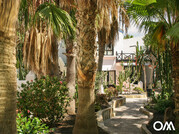 de bungalows zijn aangelegd met palmbomen en hibiscus Buganvilla